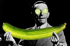 <b>Josef Vokurka</b>