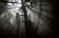 Texaský masakr motorovou pilou