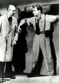 Dvojprogram filmů Edwarda D. Wooda jr.