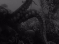 Dvojprogram filmů Edwarda D. Wooda jr.