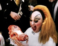 Růžoví plameňáci