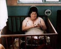 Růžoví plameňáci