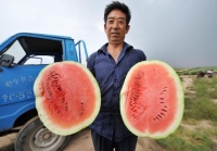 Aero naslepo pro otrlé