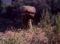 Thunder of Gigantic Serpent