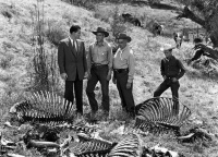 The Incredible Shrinking Man