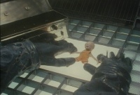 The Secret Adventures of Tom Thumb